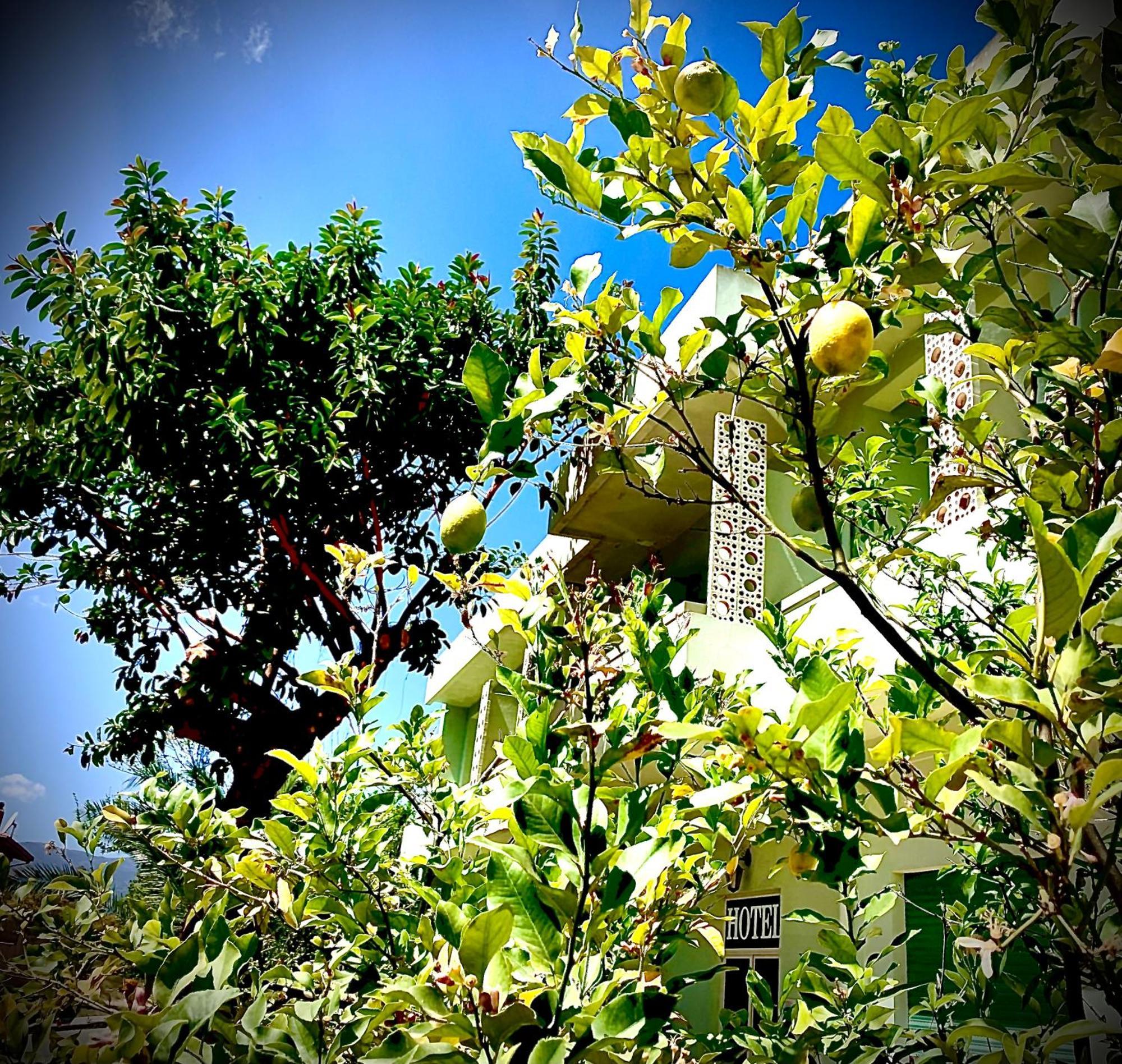 Hotel Splendor Tortoli Luaran gambar